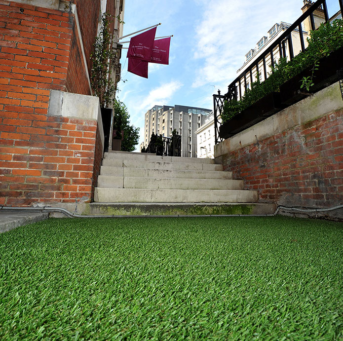 LazyLawn Bloomsbury Hotel