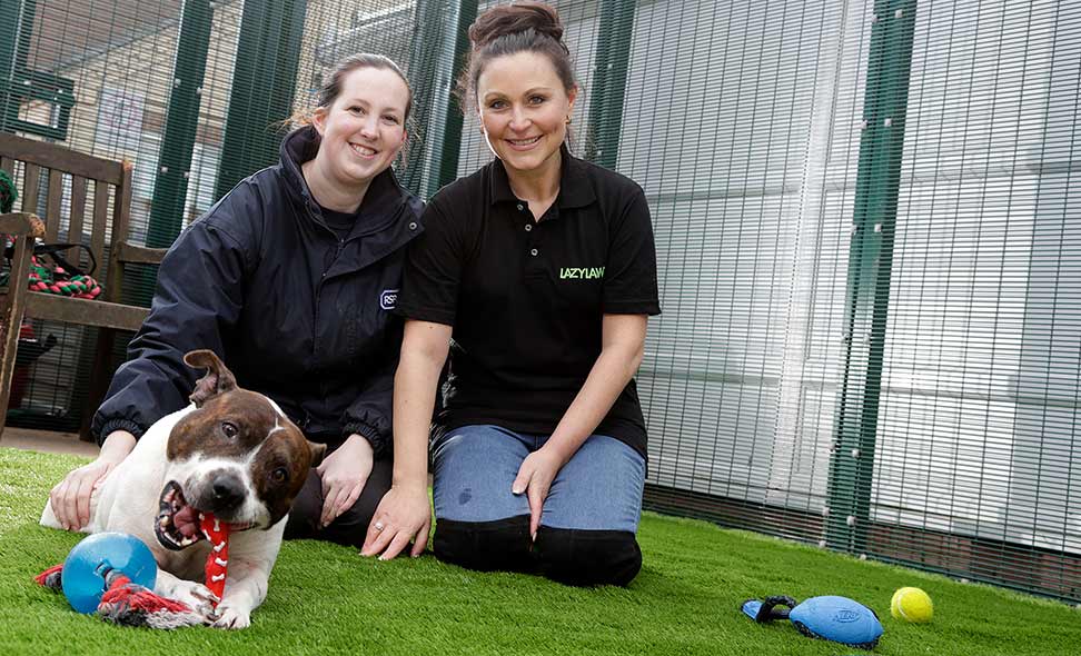 Artificial Grass Installation - RSPCA