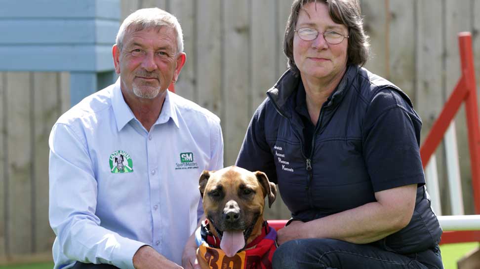 Rescue Dogs Centre - Berwick upon Tweed