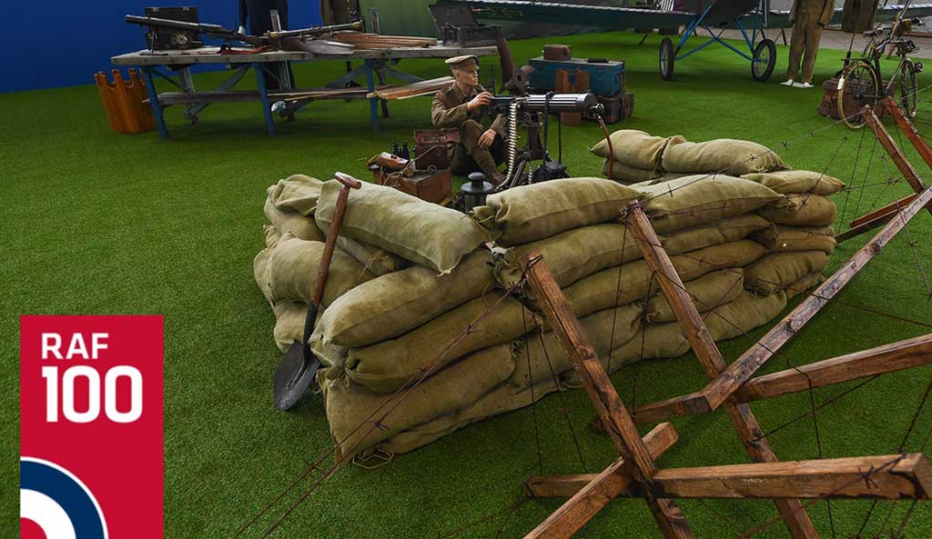 LazyLawn Artificial grass at the RAF100 expo