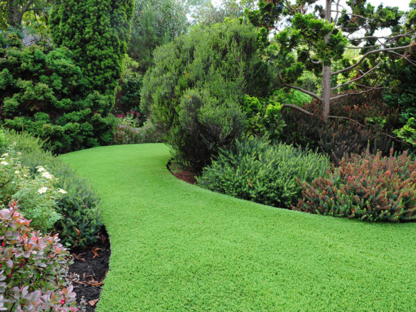 LazyLawn Edging Feature in Shaped garden