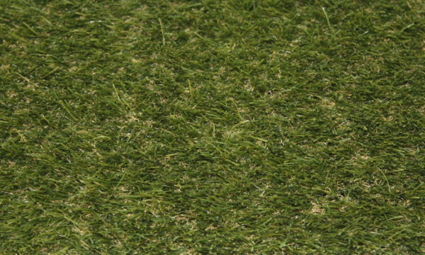 Lazy Show 28mm artificial grass