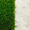 Artificial grass weed membrane