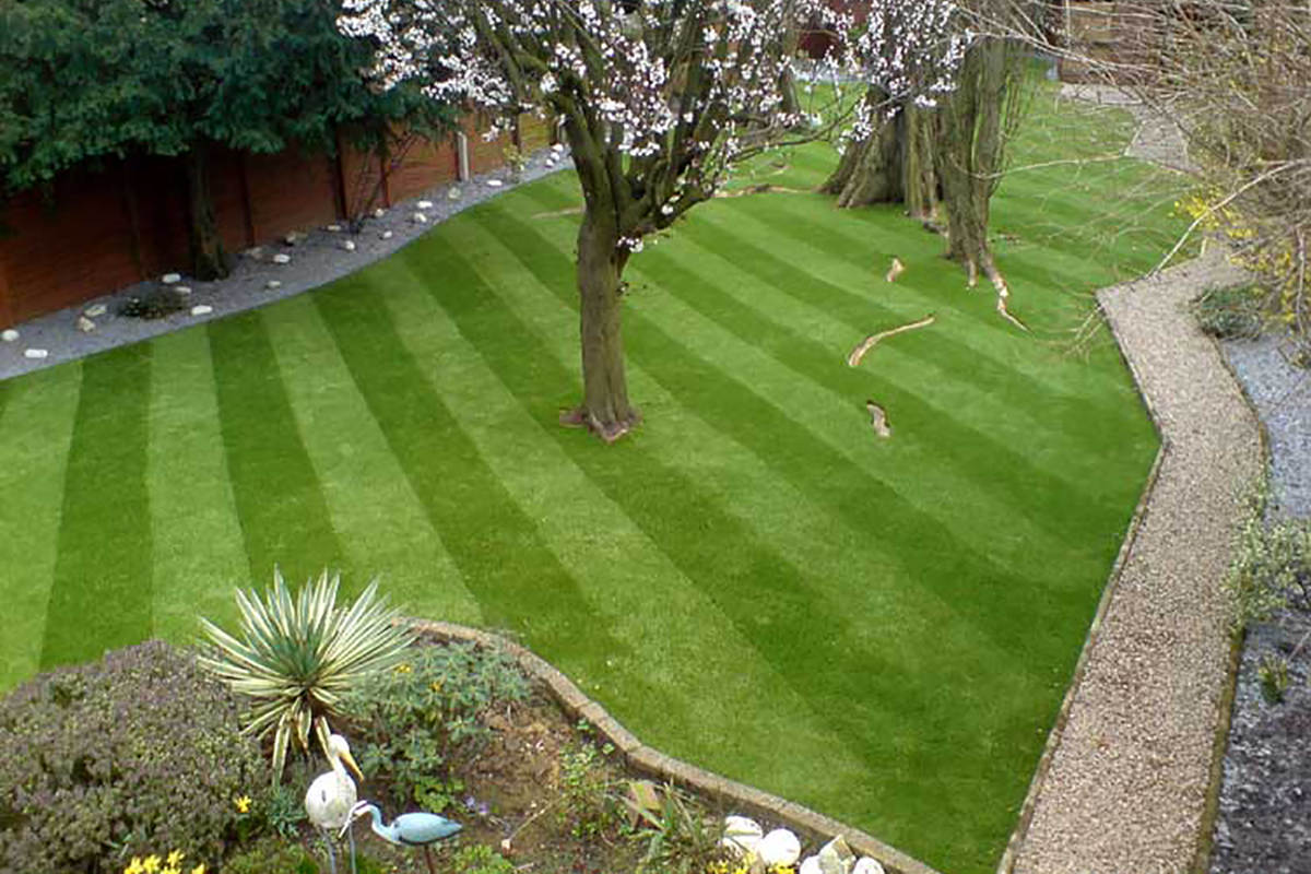 Muddy garden transformed with artificial grass- after