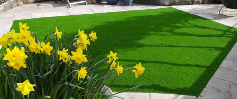 Daffodils next to LazyLawn artificial grass in a garden