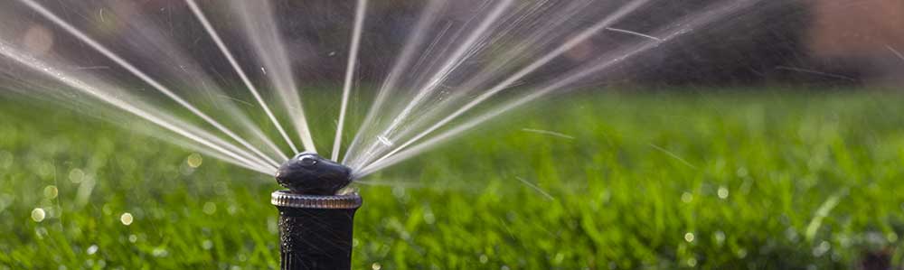 Sprinklers on grass