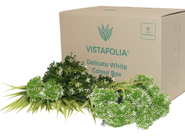 Vistafolia Delicate White colour box