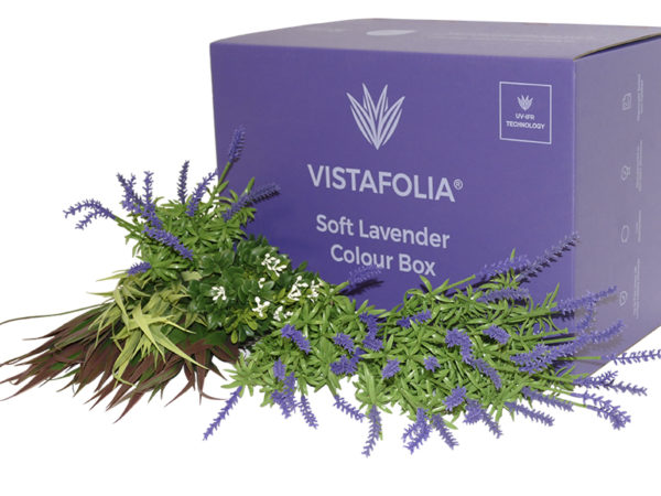 VistaFolia Soft Lavender box