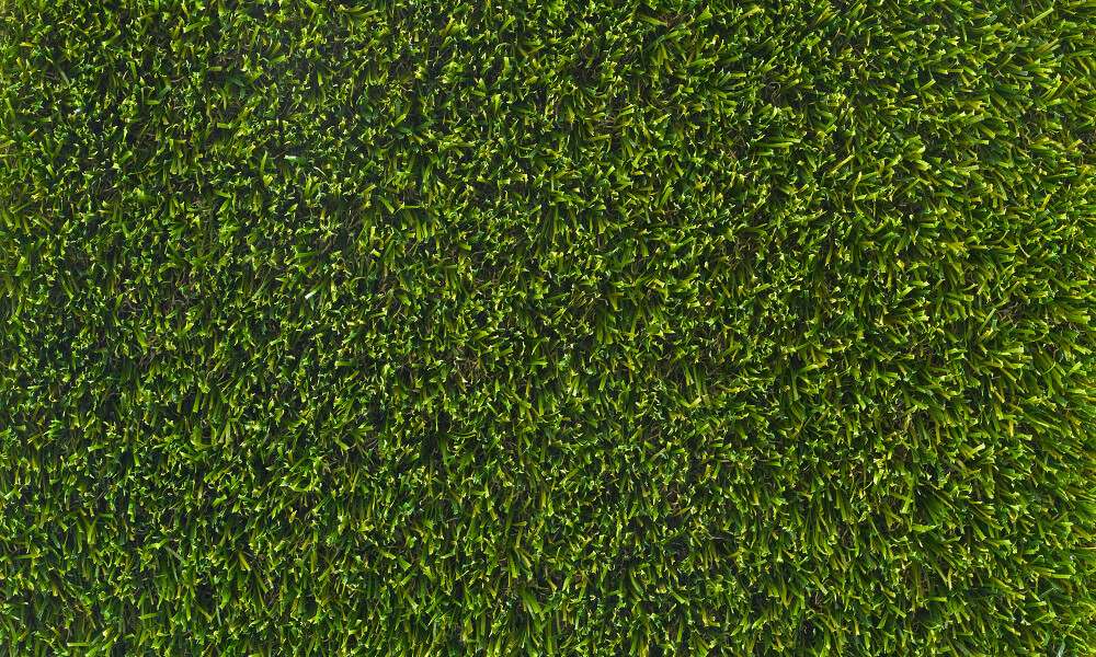 Lazy Trinity 35mm - Image 4