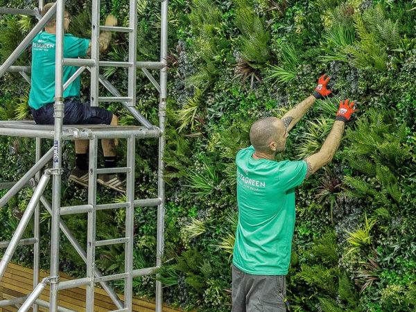 The team installing a Vistafolia artificial green wall