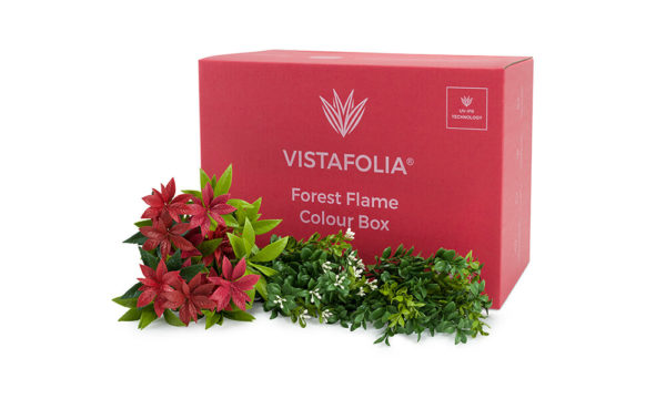 Vistafolia forest flame colour box