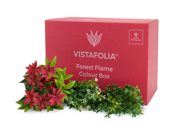 Vistafolia forest flame colour box