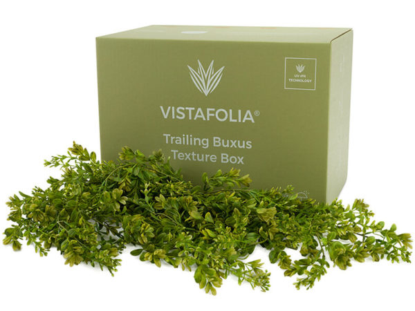 Vistafolia Trailing Buxus Texture Box