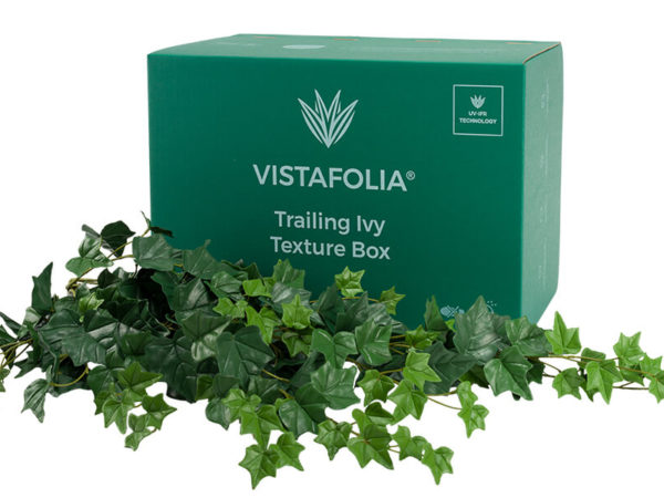 Vistafolia Trailing ivy