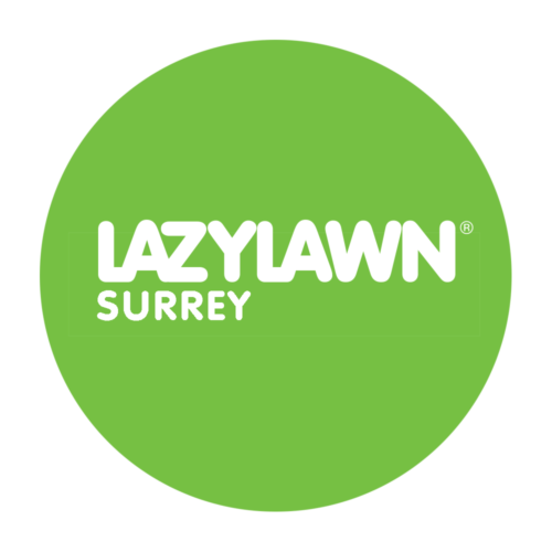 LazyLawn Surrey