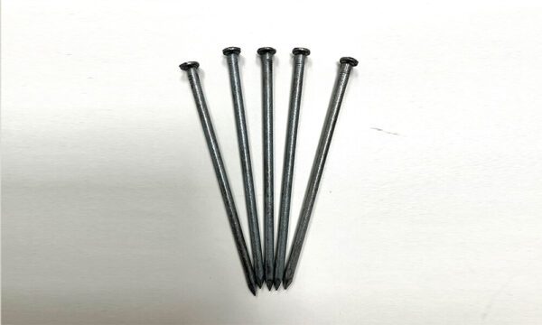 6" Galvanised Nails