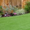 Lazy Show 35mm Artificial Grass Sample - Image 2